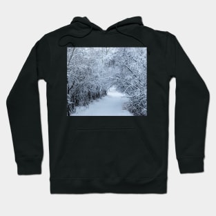 Wintery trail. Hoodie